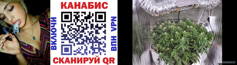 Магазин наркотиков Гаврилов Посад Метадон  Псилоцибиновые грибы  КОКАИН  МЕФ  A PVP 