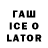 ГАШ Ice-O-Lator Oversized Dickies