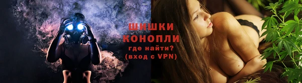бошки Бородино