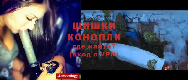 бошки Бородино