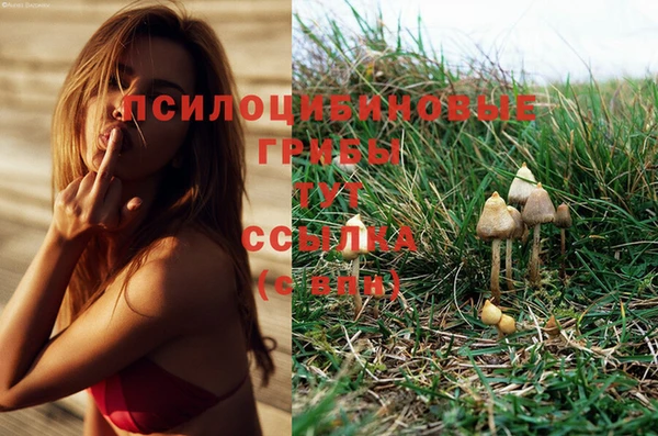 бошки Бородино