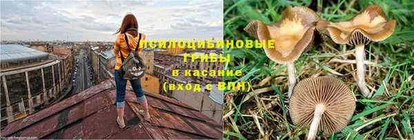 тгк Верхний Тагил