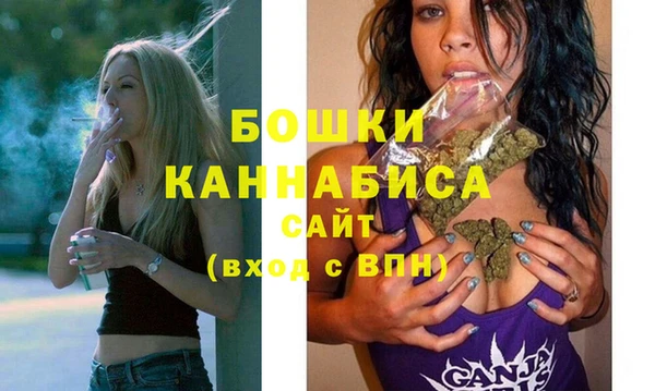 бошки Бородино