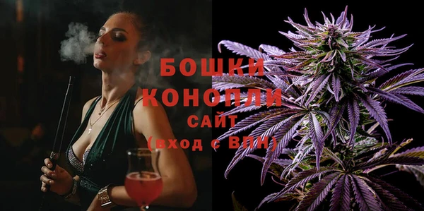 бошки Бородино