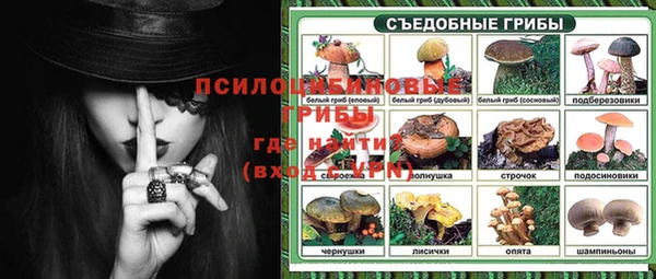 МДПВ Семёнов